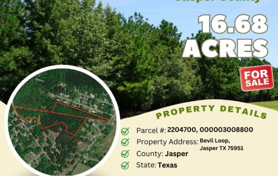 Contract for Sale – 16.68 acres in Jasper County, Texas – $54,900