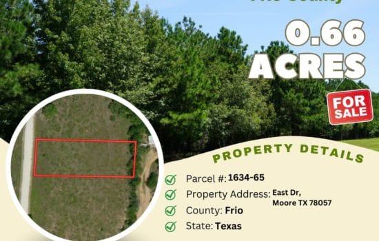 For Sale – 0.66 acres in Frio County, Texas – $22,500 (65)